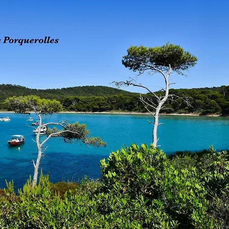 Appartement - L'ayguade - Port-