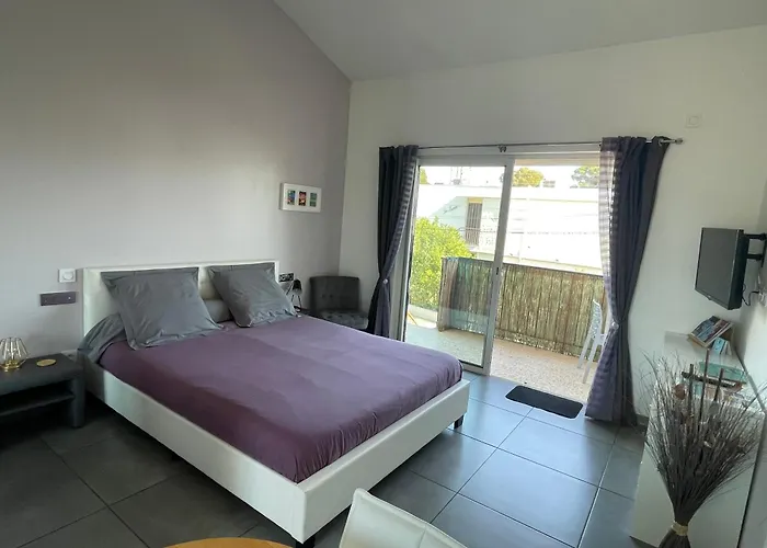 A 400 M Confort Terrasse Clim Parking * Hyères