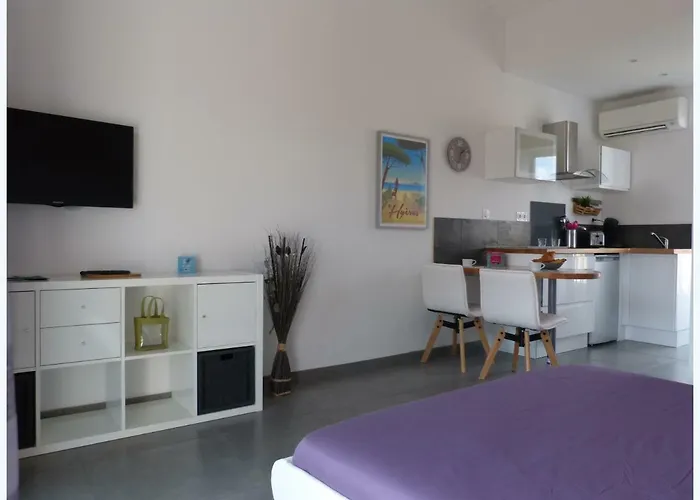 A 400 M Confort Terrasse Clim Parking Appartement Hyères