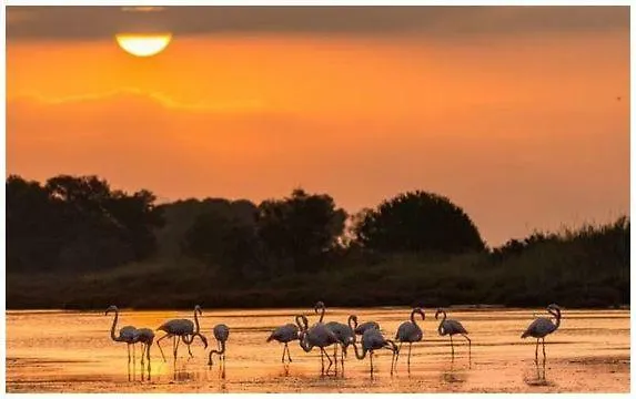 A 400 M Confort Terrasse Clim Parking Hyères