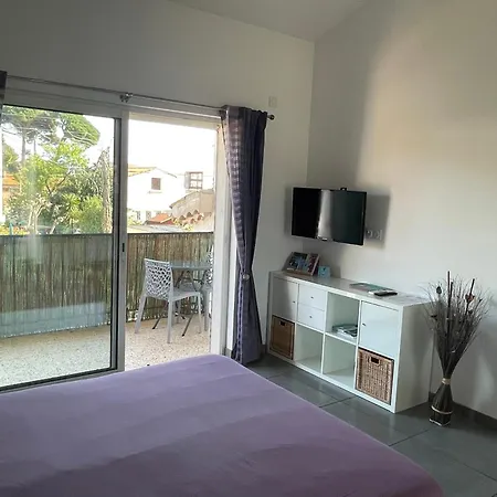 Apartment A 400 M Confort Terrasse Clim Parking *