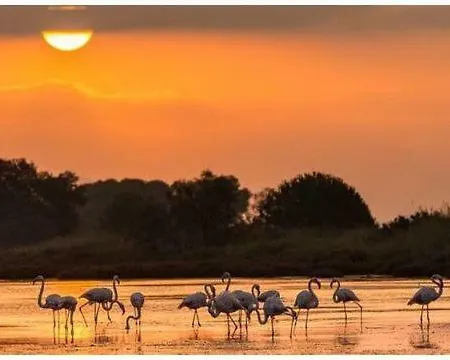 - L'ayguade - Port- Hyères
