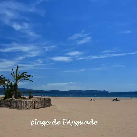 A 400 M Confort Terrasse Clim Parking Apartment Hyeres